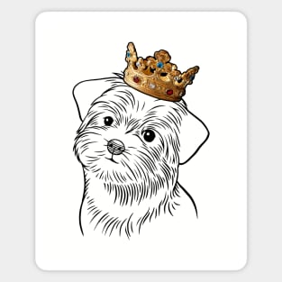 Morkie Dog King Queen Wearing Crown Magnet